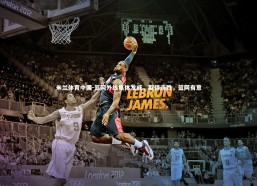 米兰体育中国-篮网外线集体发威，取得连胜，篮网有意